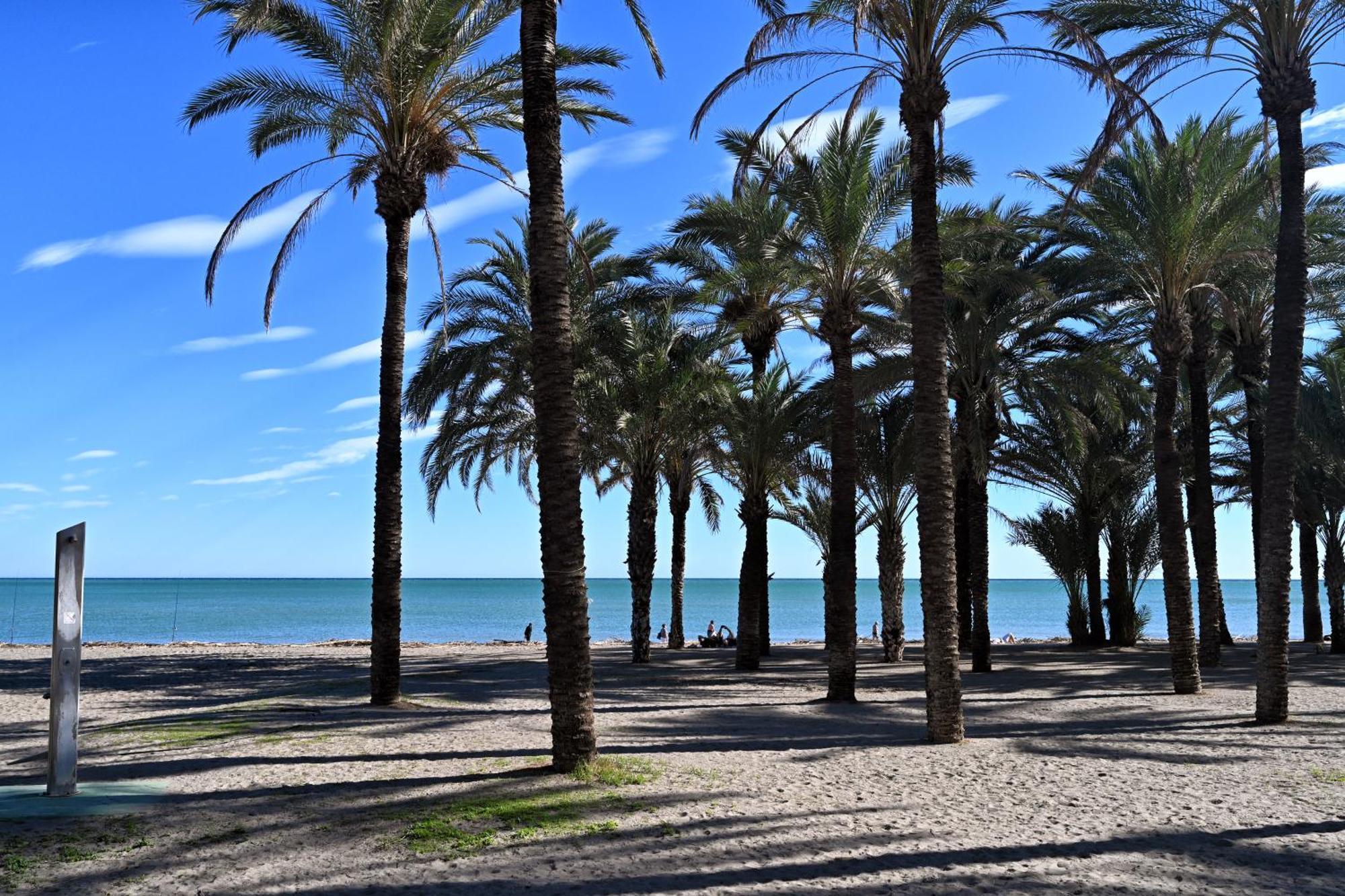 Love Rent4 Malaga Alamar Torremolinos Luaran gambar